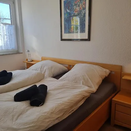 Schirmqualle *