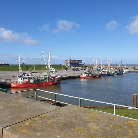 Schirmqualle Prázdninový dům