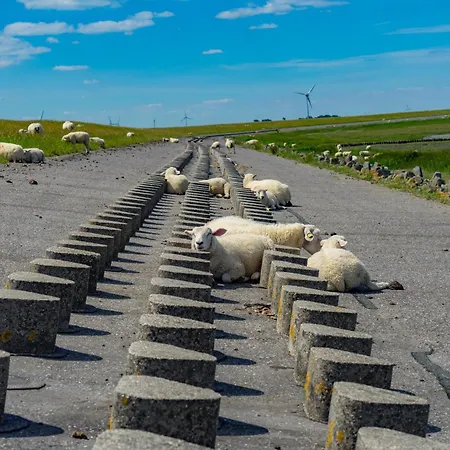 Prázdninový dům Schirmqualle *