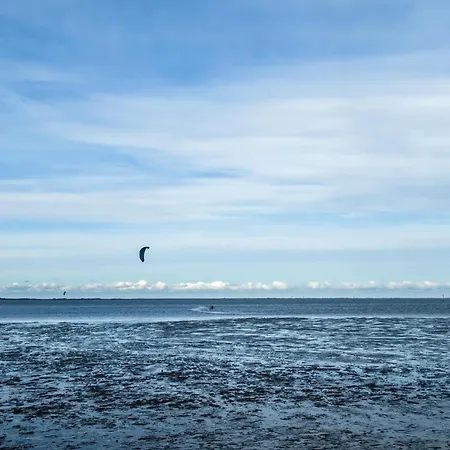 別荘 Schirmqualle ドルヌム